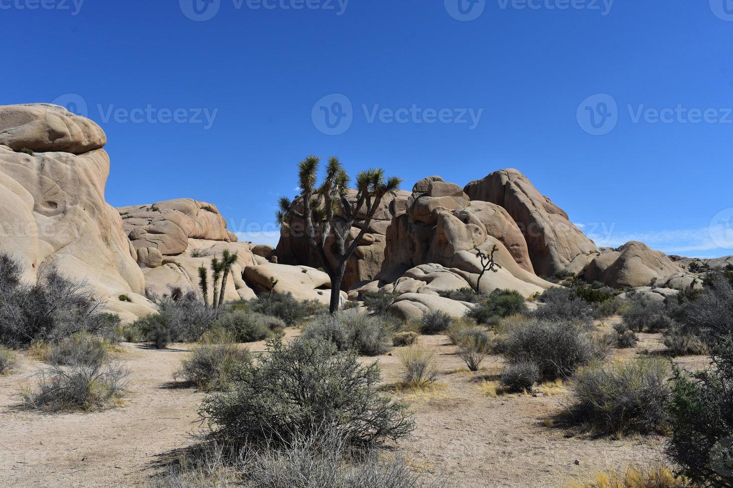 paisagem estéril no deserto de mojave na califórnia foto