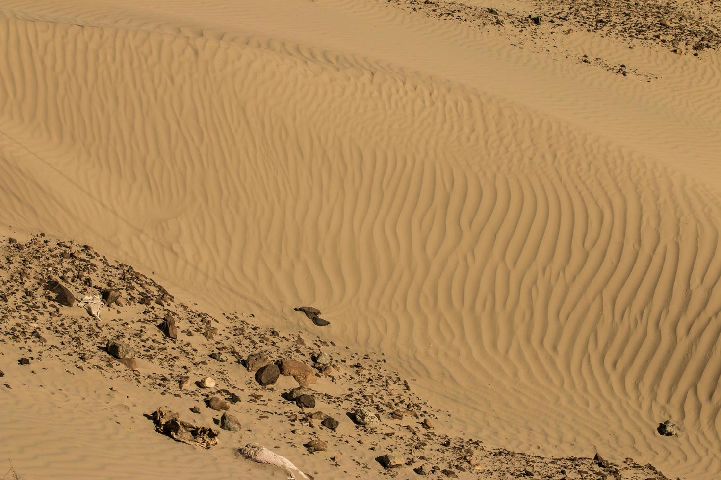 detalhe abstrato de areia nas dunas foto