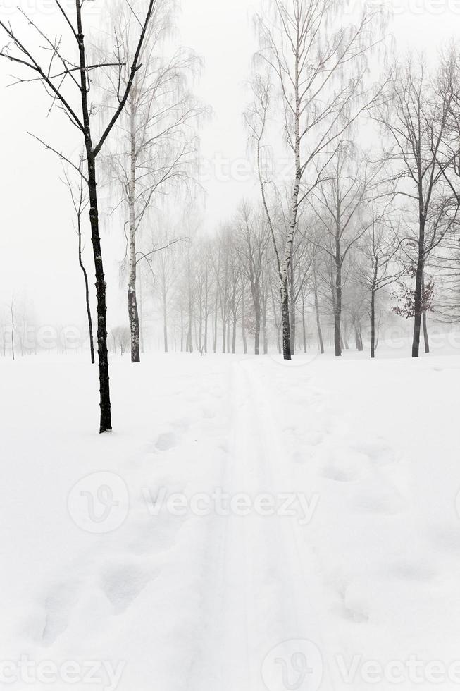 estrada de inverno, trilha. foto