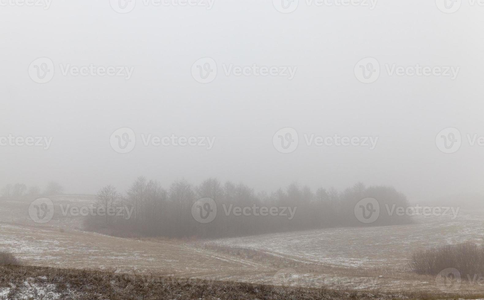 nevasca de paisagem de inverno foto