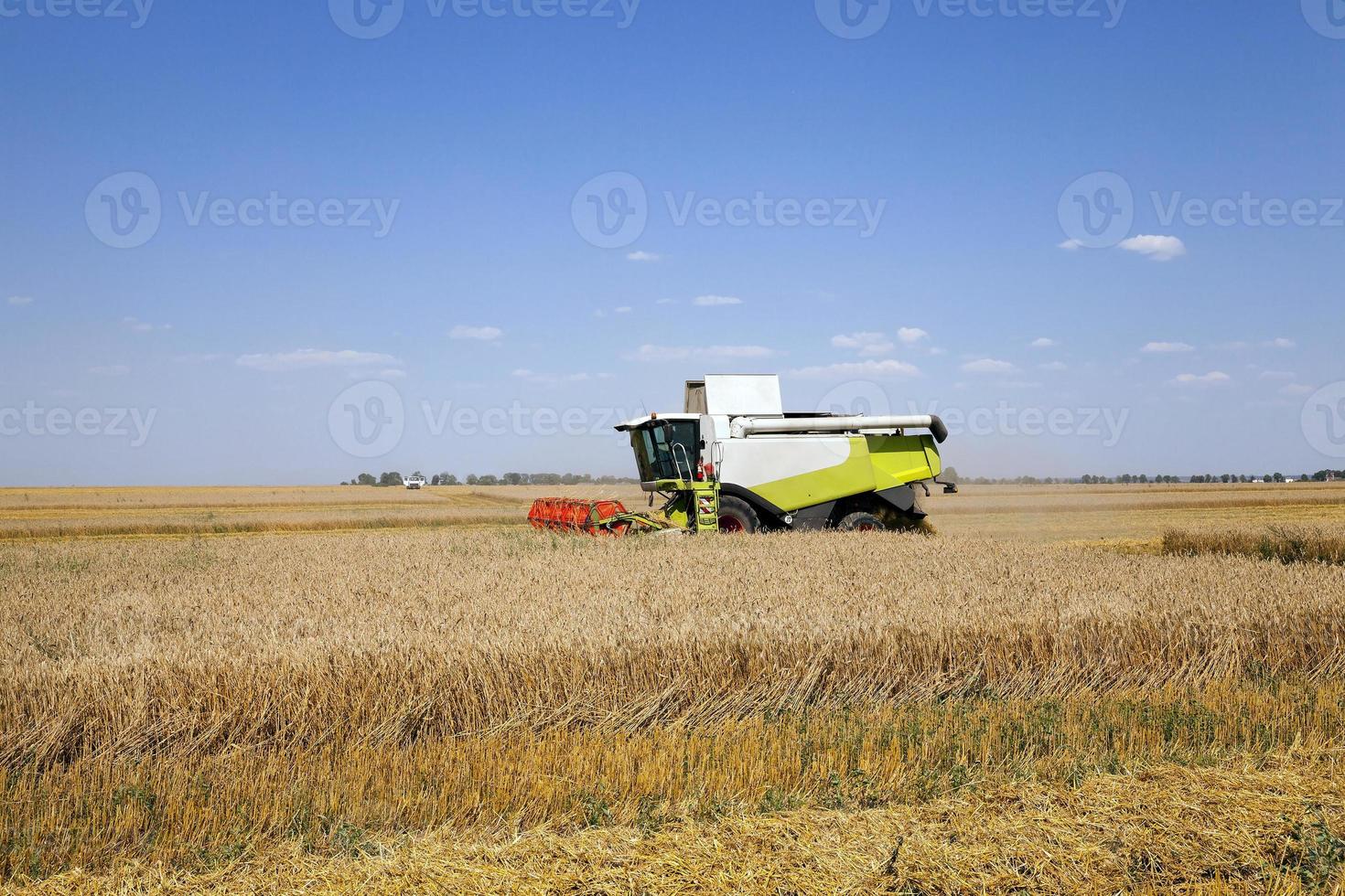 colheitadeira no campo foto