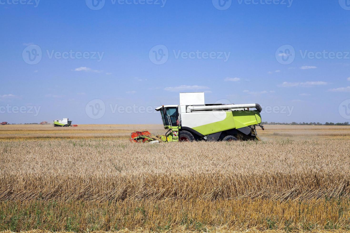 colheitadeira no campo foto