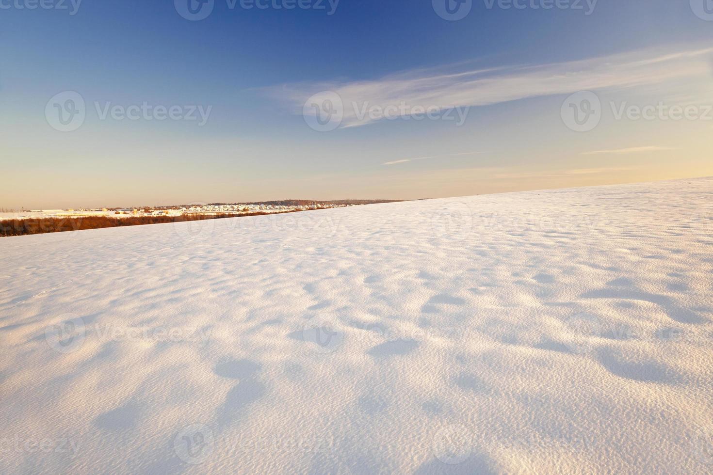 campos cobertos de neve no inverno foto