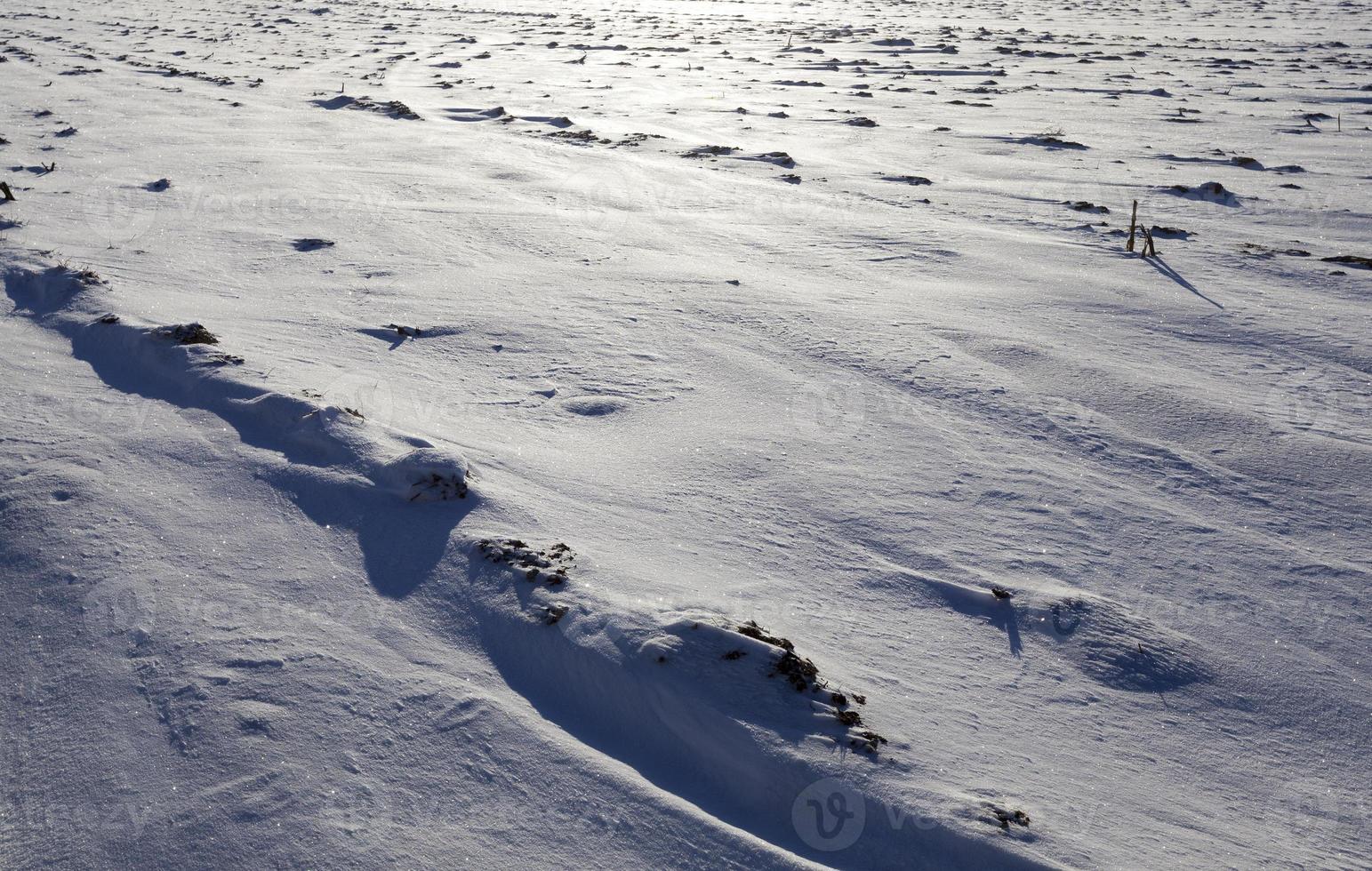 neve flutua no inverno foto