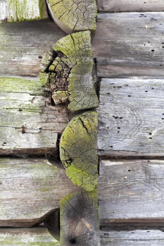 superfície de madeira em ruínas foto