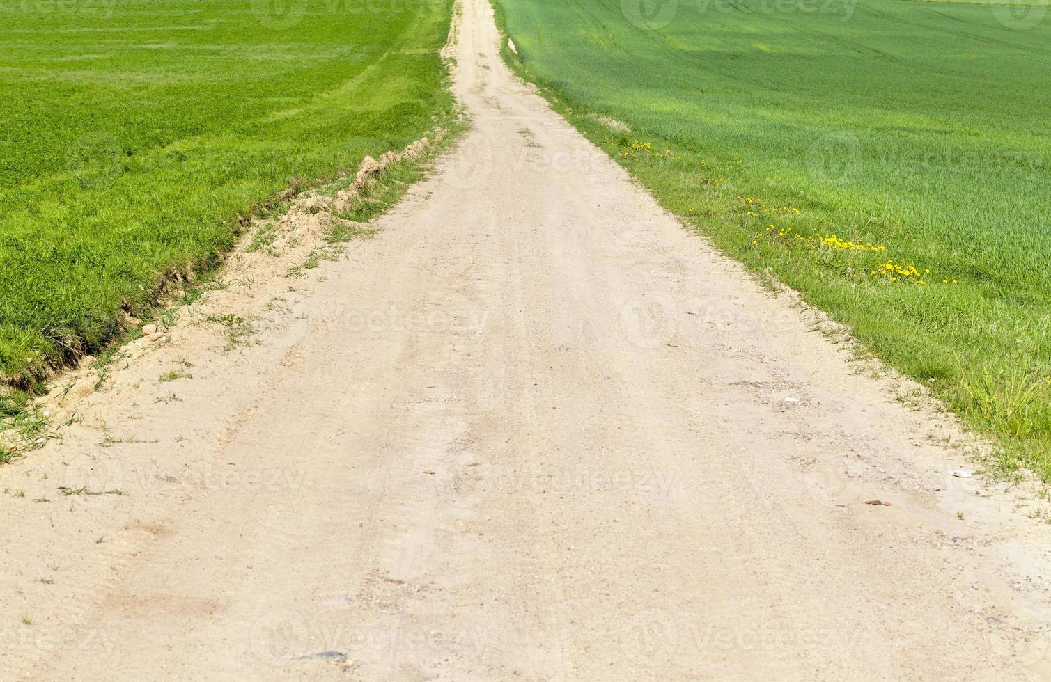 paisagem de primavera, estrada foto