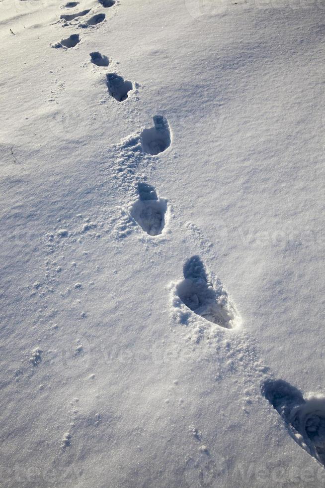 pegadas em montes de neve depois de caminhar foto