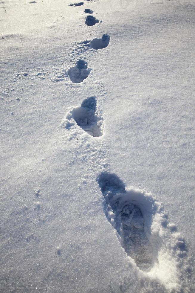 pegadas em montes de neve depois de caminhar foto