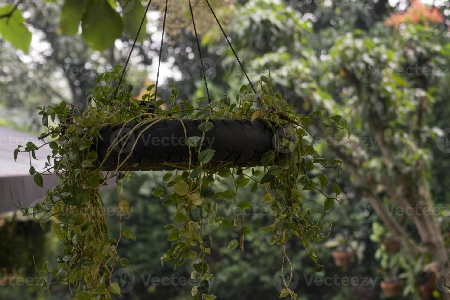 plantar em pneu pendurado não utilizado no parque foto