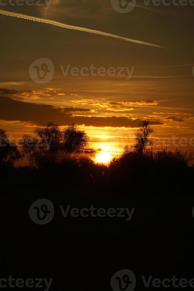 pôr do sol com céu ardente atrás das árvores. foto