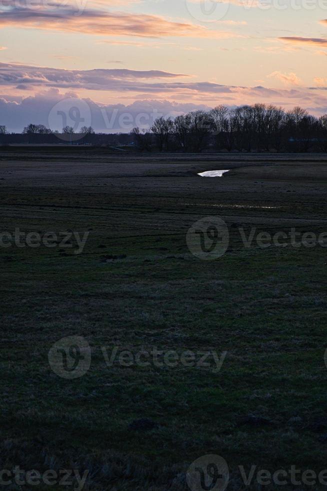 prado em frente ao bodden em zingst na hora da noite. foto de paisagem na natureza.