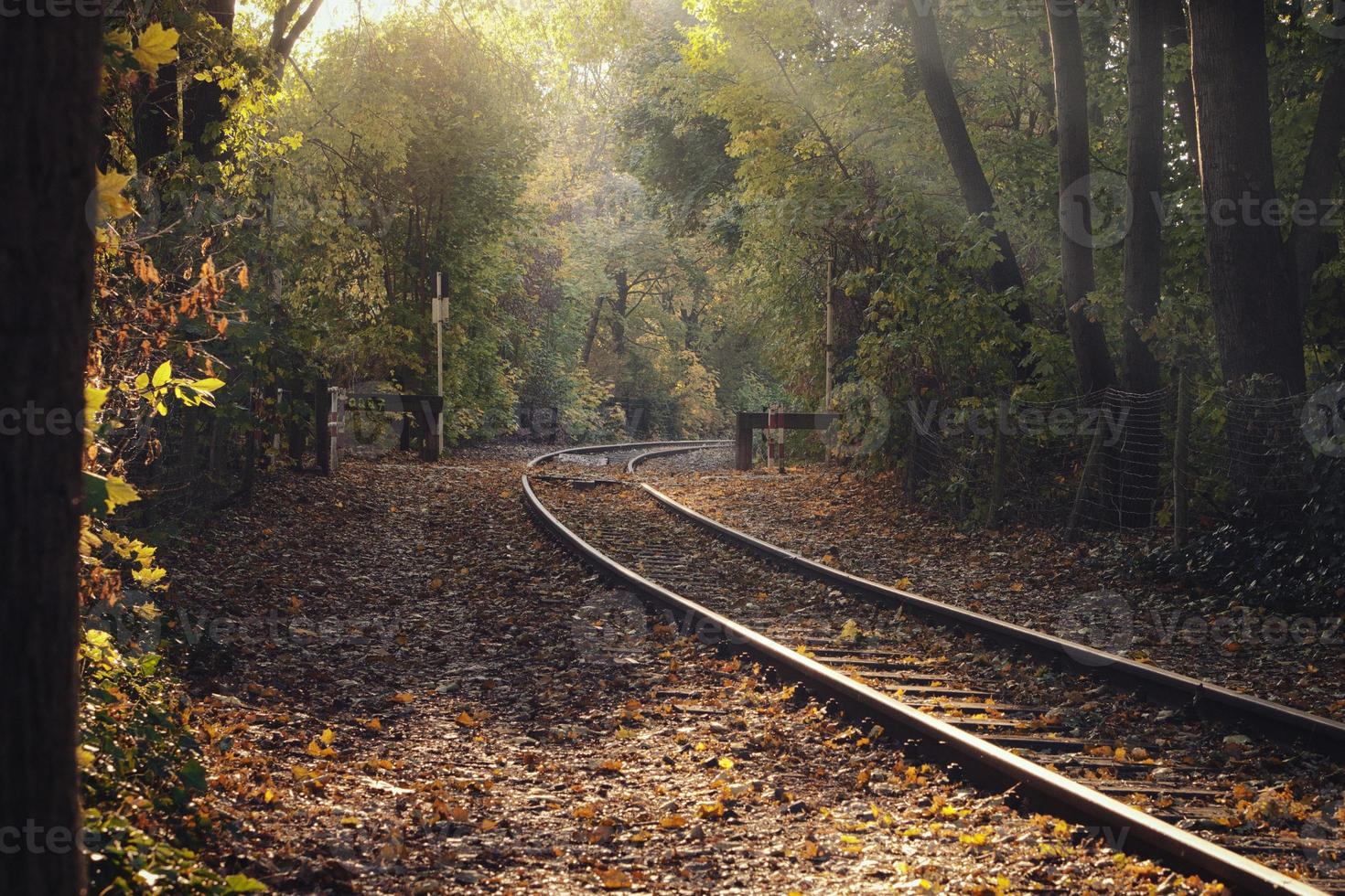 trilhos de trem através de um bosque em clima de outono e incidência de luz foto