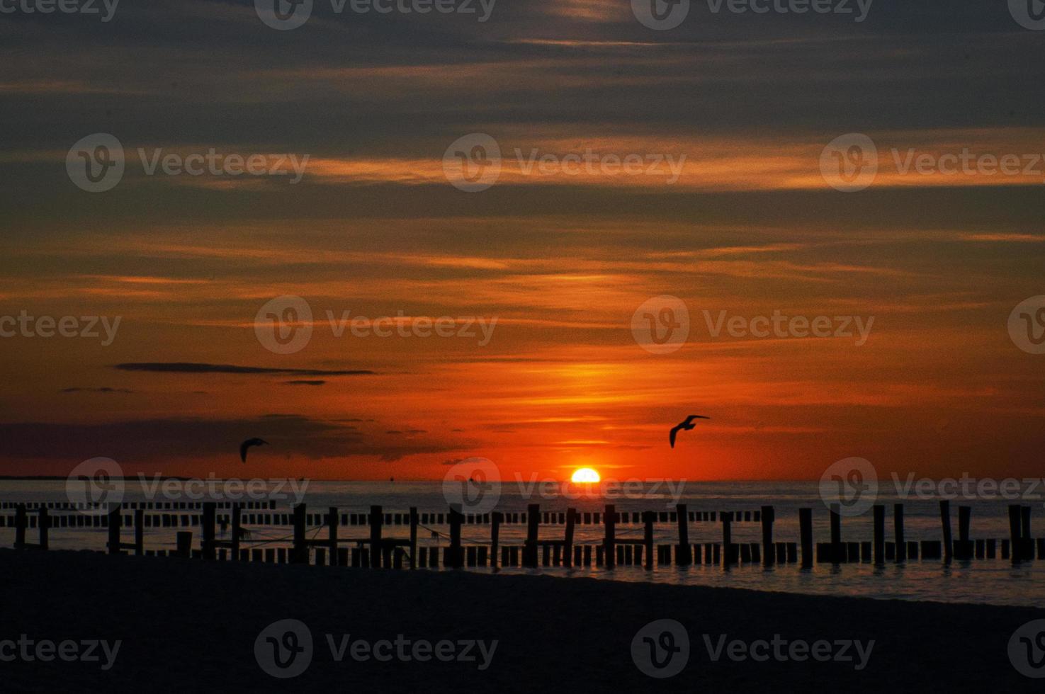 pôr do sol em zingst no mar. sol laranja vermelho se põe no horizonte. círculo de gaivotas no céu foto