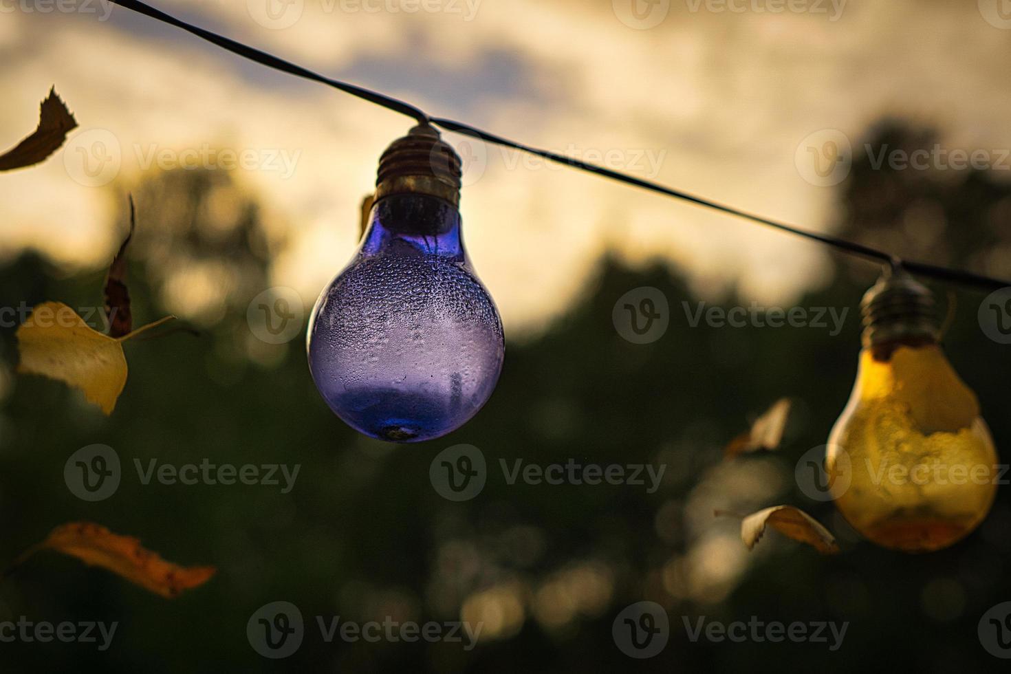 seqüência de luzes em forma de lâmpada. festa no jardim ou noite relaxante ao ar livre. humor leve com bokeh foto