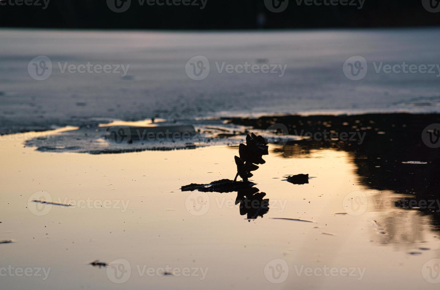 borda de gelo em um lago ao pôr do sol. foto