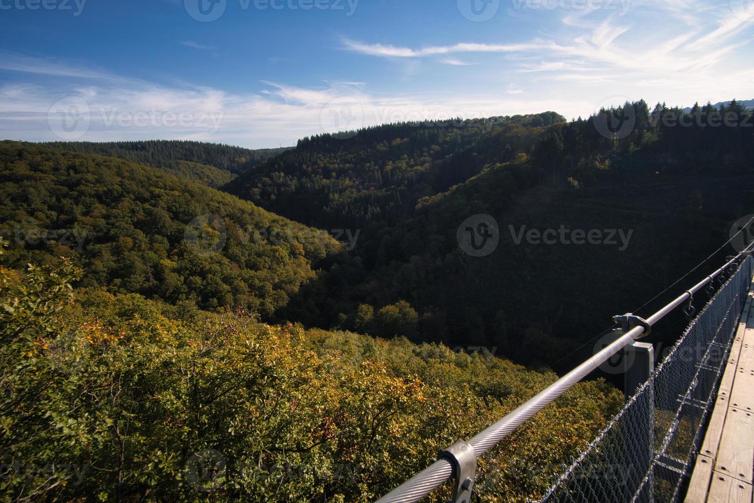 vista da paisagem da ponte suspensa geierlay foto