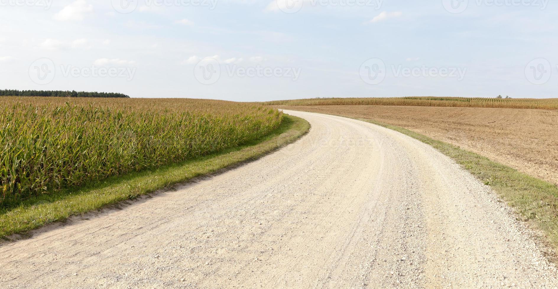 estrada de areia rural foto