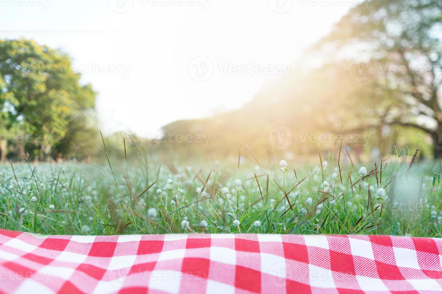 textura de toalha de mesa quadriculada vermelha com grama verde no jardim foto