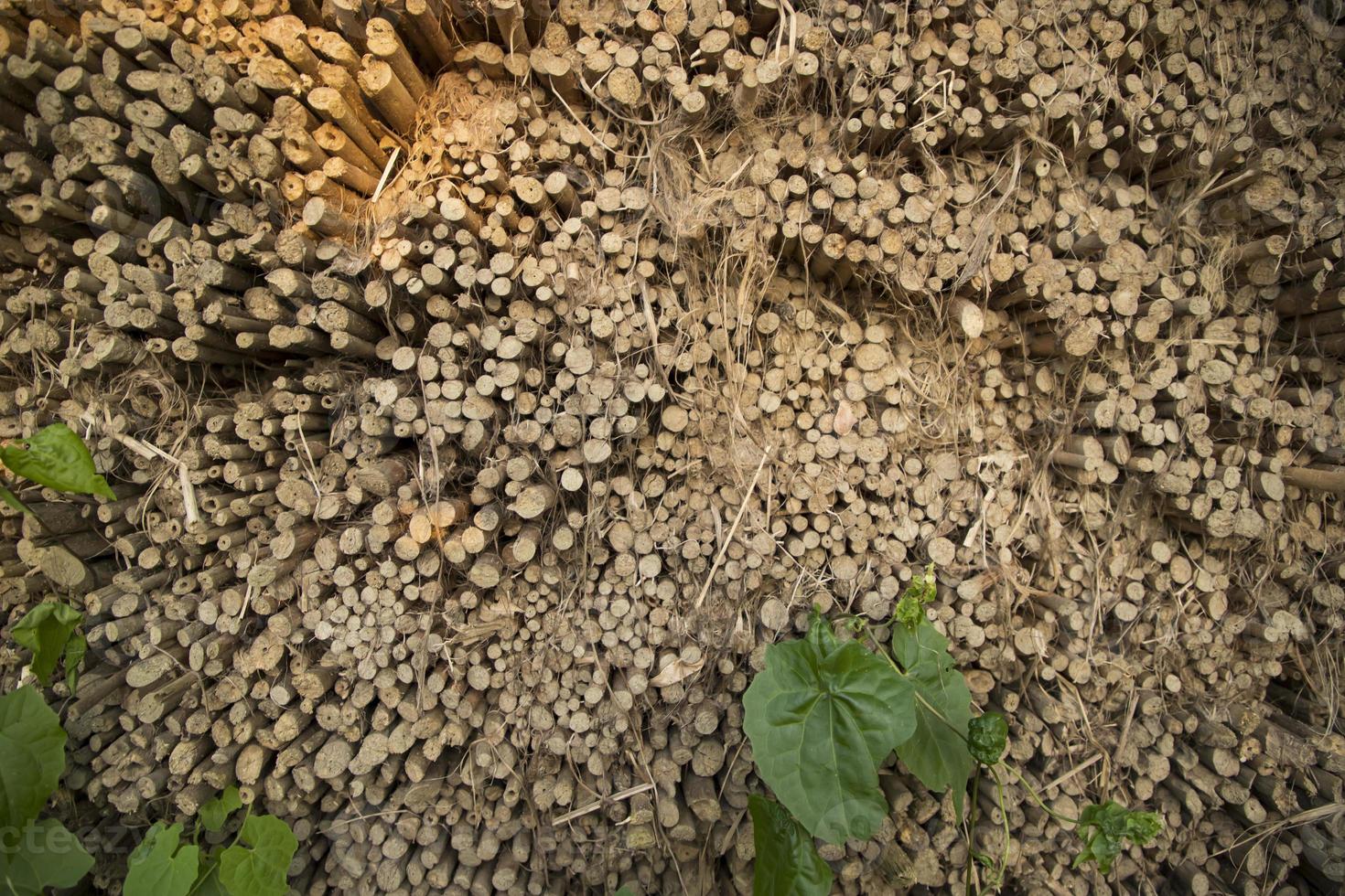 linhas e linhas de juta marrom varas textura de fundo de um campo foto