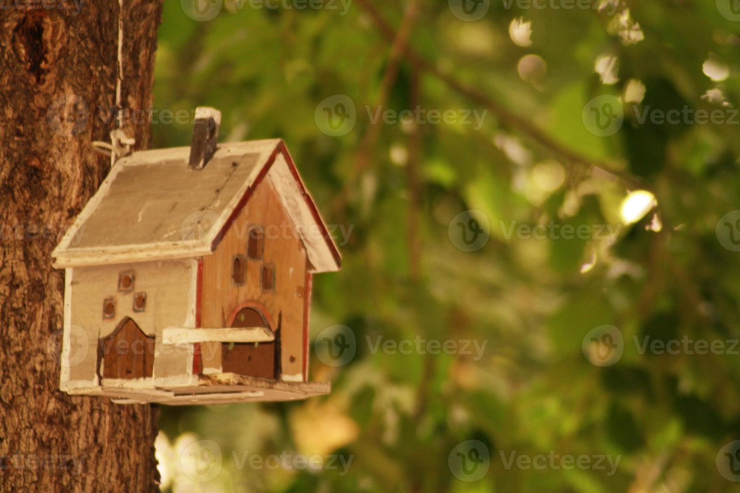 cabana de pássaros na árvore na hungria foto