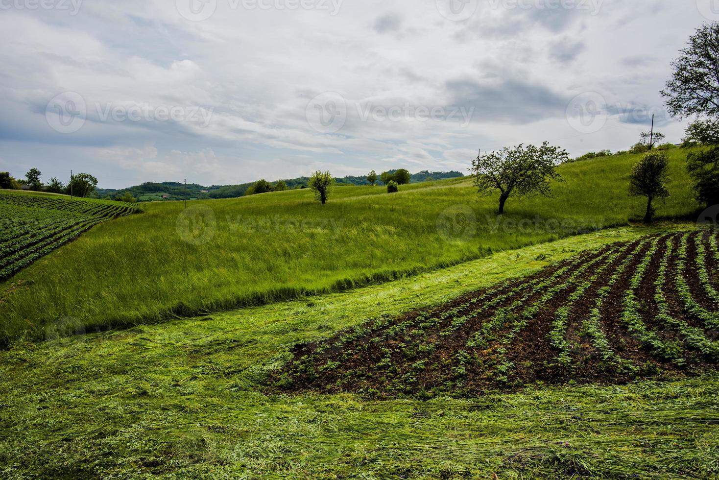 2022 05 08n selvaditrissino paisagem agrícola foto