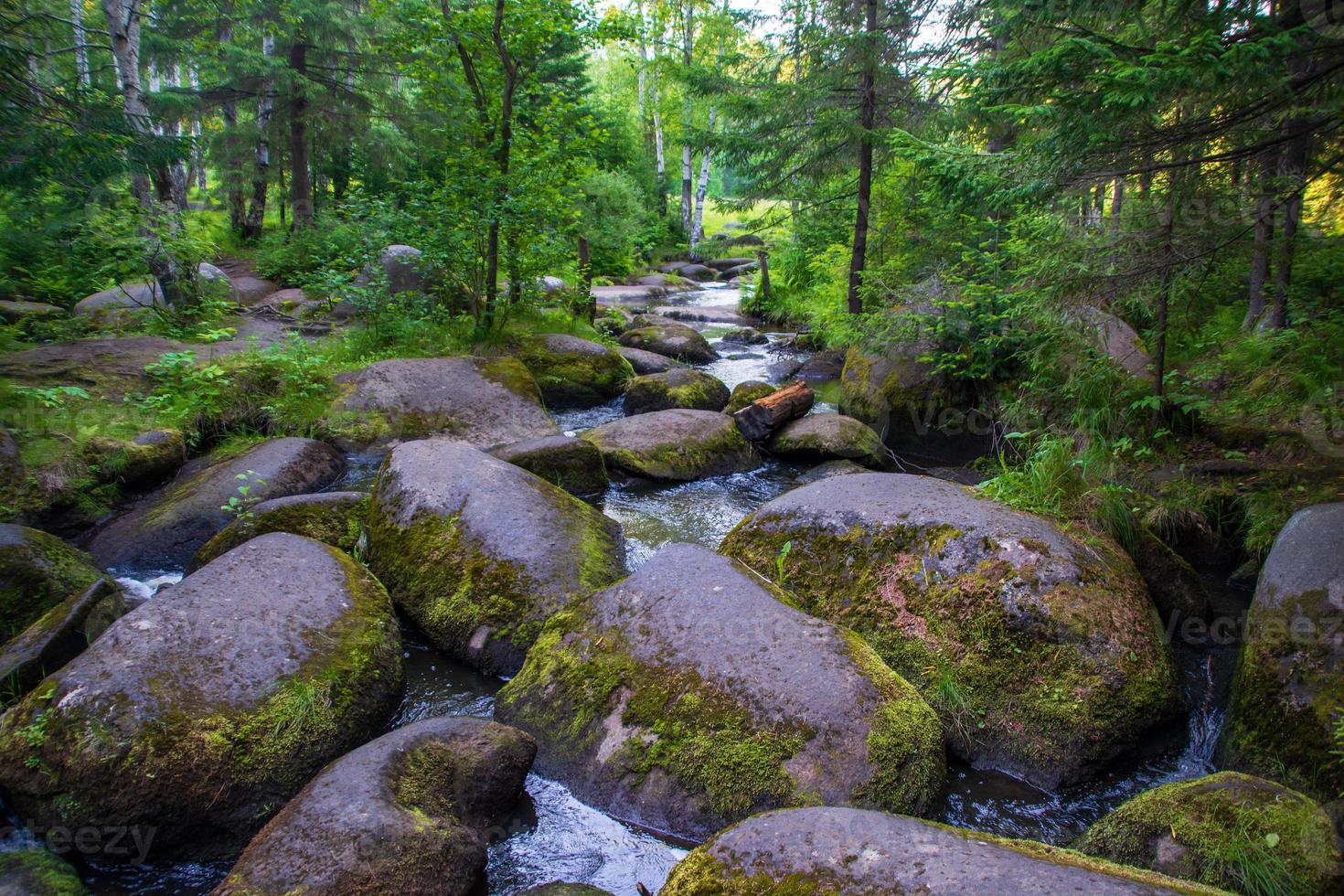 um rio de montanha com enormes pedras com floresta verde moss.wild de taiga. foto