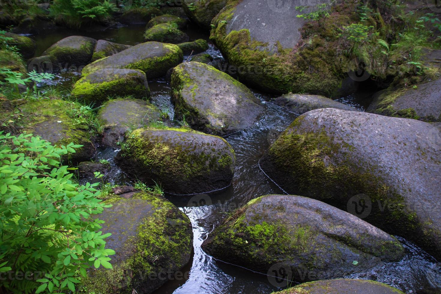 um rio de montanha com enormes pedras com floresta verde moss.wild de taiga. foto