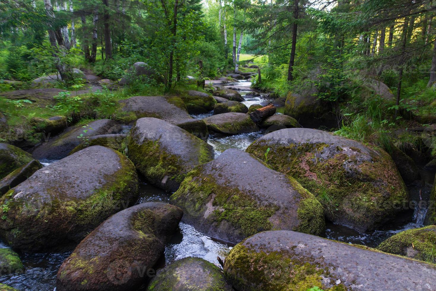 um rio de montanha com enormes pedras com floresta verde moss.wild de taiga. foto