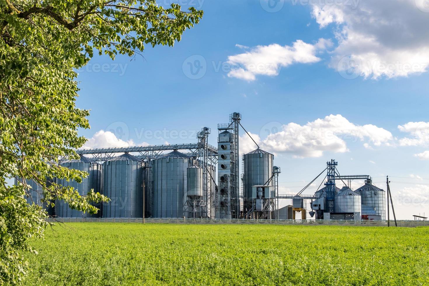 silos de prata em agro-processamento e planta de fabricação para processamento de secagem, limpeza e armazenamento de produtos agrícolas, farinhas, cereais e grãos. elevador do celeiro. foto