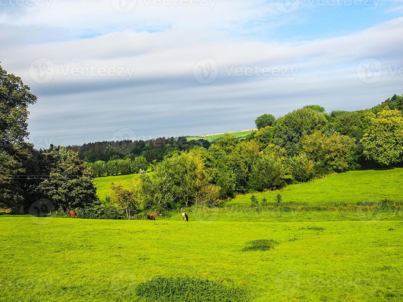 hdr panorama do país inglês em salisbury foto