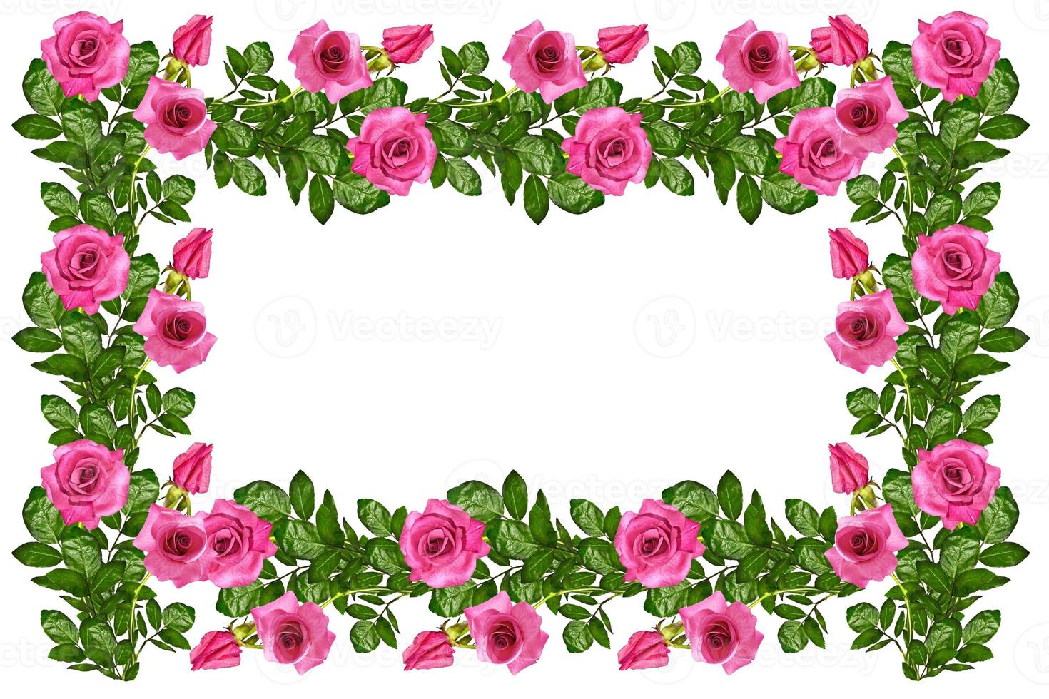 os botões de flores rosas. cartão de férias foto