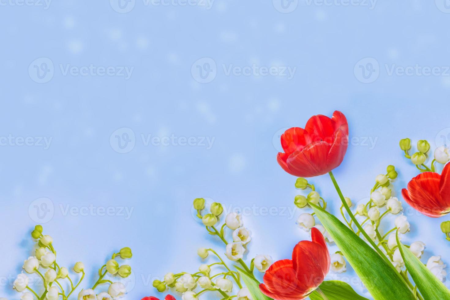 tulipas de vista superior. flores coloridas brilhantes da primavera foto