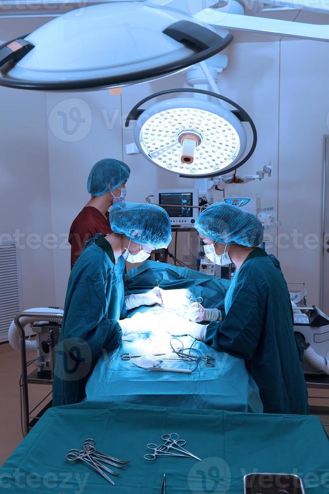 grupo de cirurgia veterinária na sala de operação foto