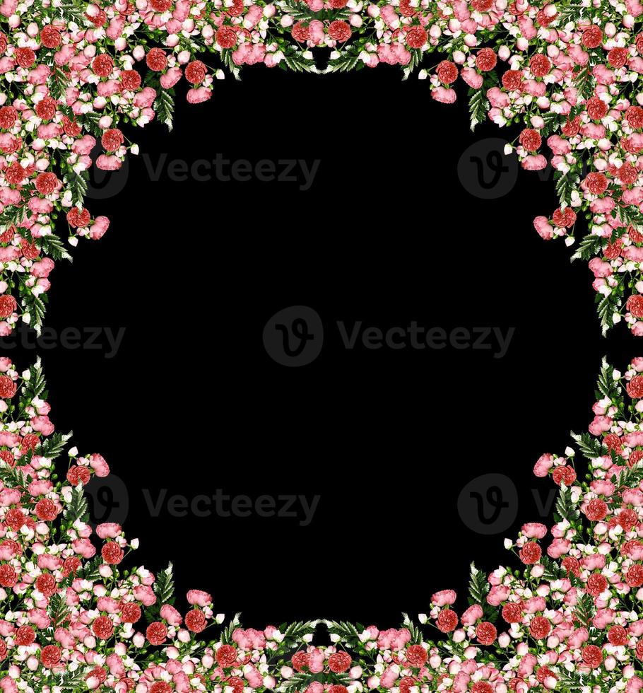 flores coloridas brilhantes rosa selvagem isoladas em um fundo preto foto