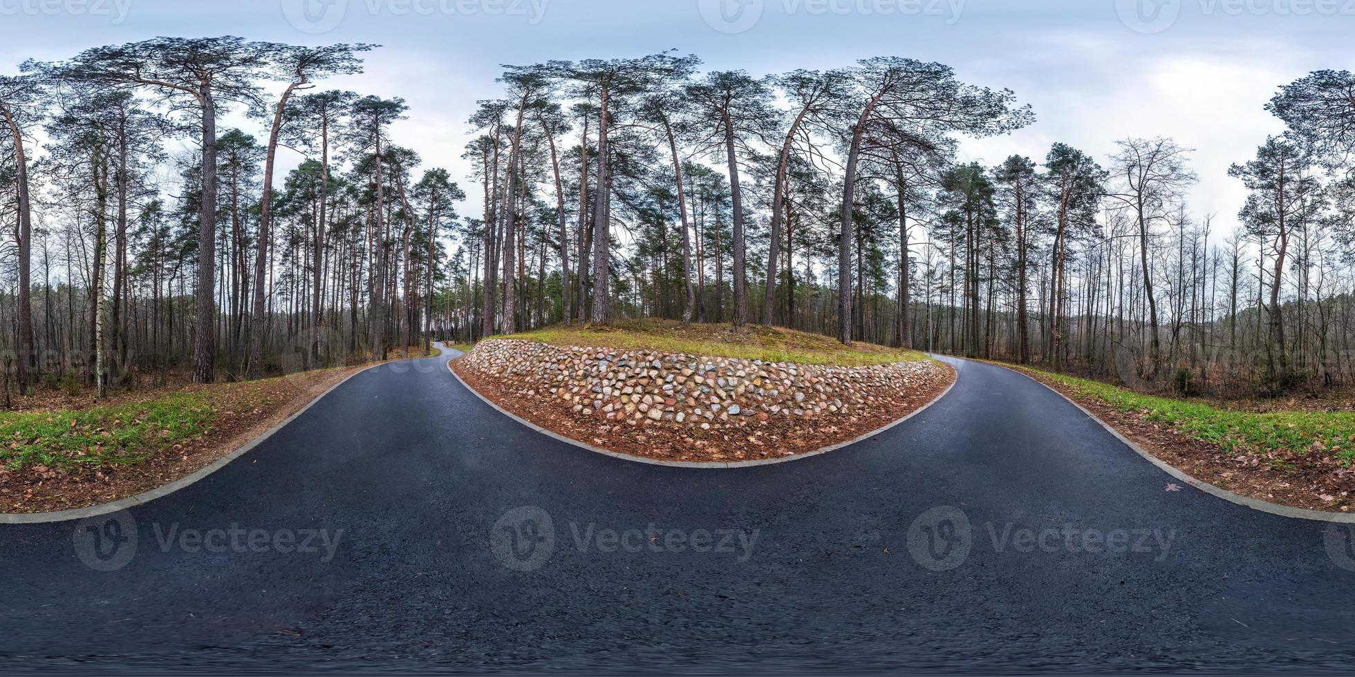 panorama hdri esférico completo vista de ângulo de 360 graus na trilha de pedestres de asfalto e caminho de ciclovia na floresta de pinheiros em tempo nublado em projeção equirretangular. conteúdo vr foto