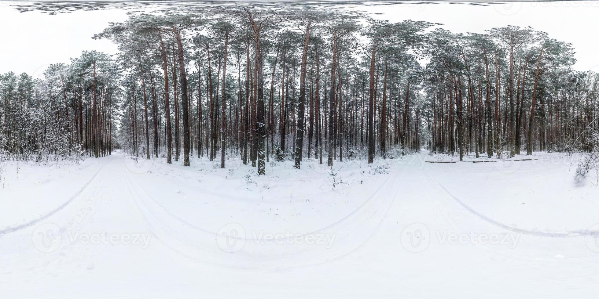 inverno esférico completo 360 graus vista panorâmica estrada em uma floresta nevada com céu pálido cinza em projeção equirretangular. conteúdo vr foto