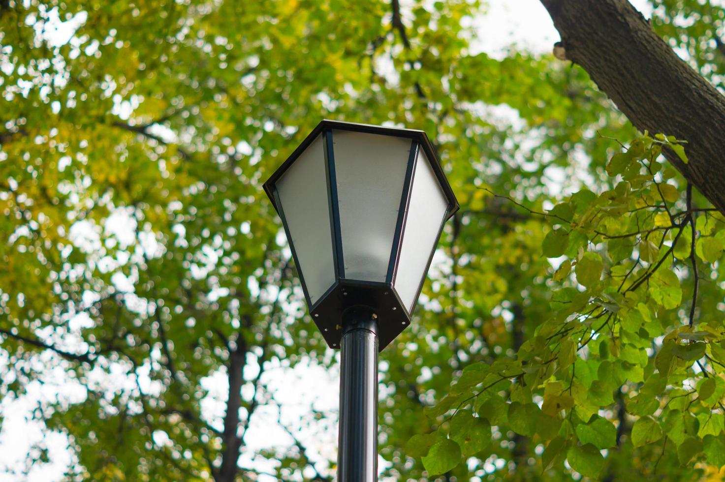 luz de rua no parque foto