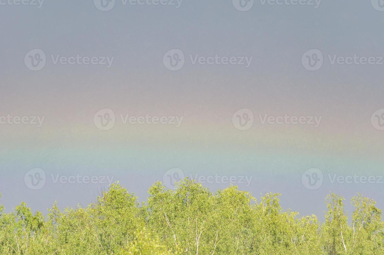 arco-íris sobre a floresta foto
