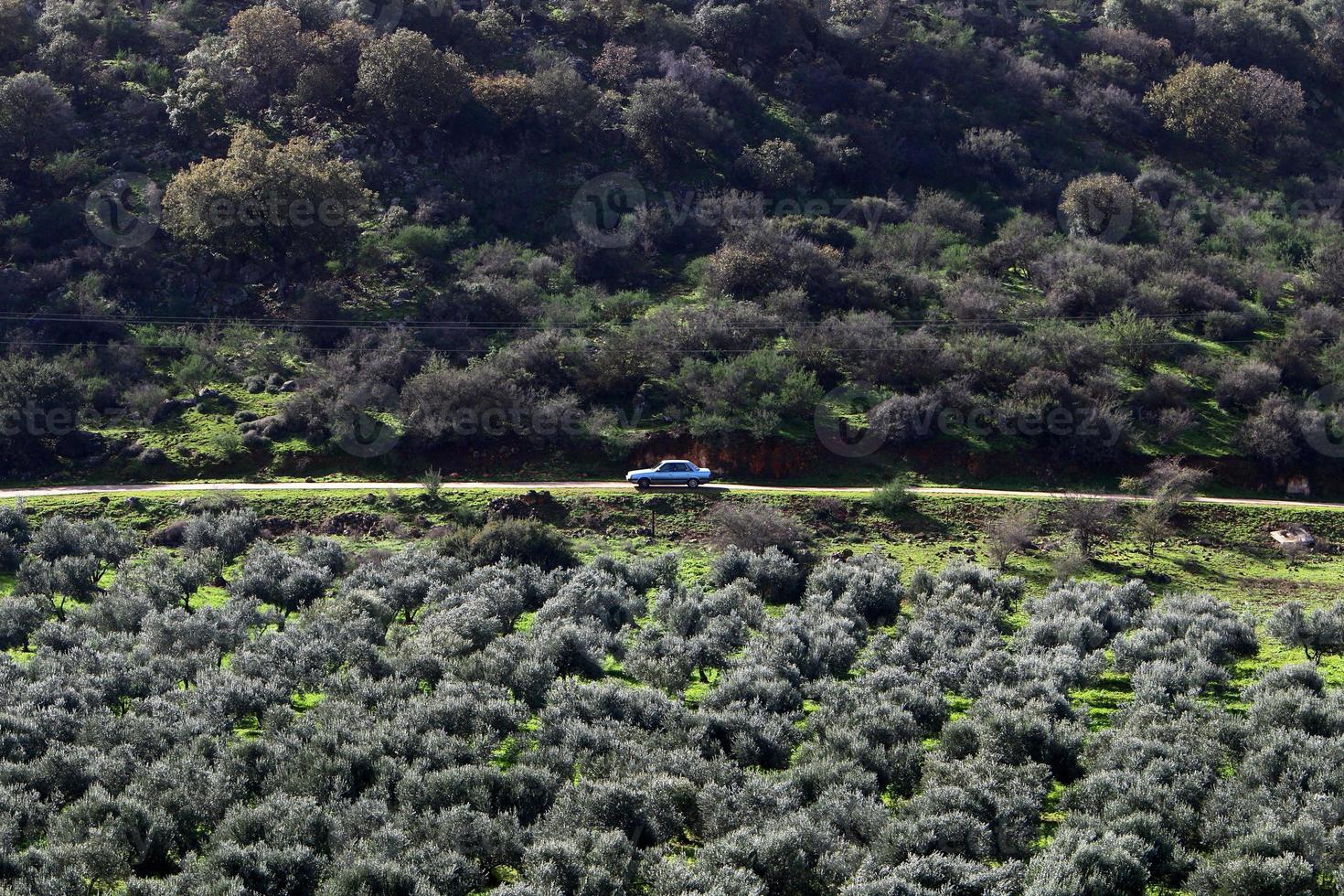 paisagem natural no norte de israel. foto