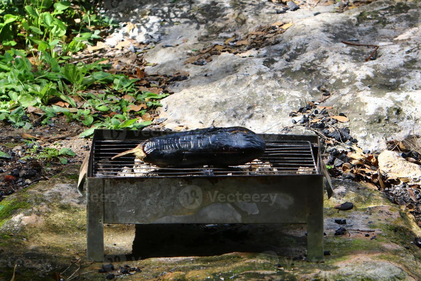 piquenique ao ar livre no parque da cidade. foto