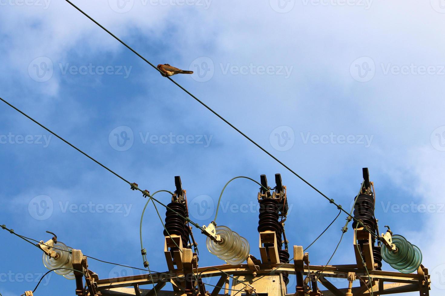 fios elétricos que transportam corrente de alta tensão. foto