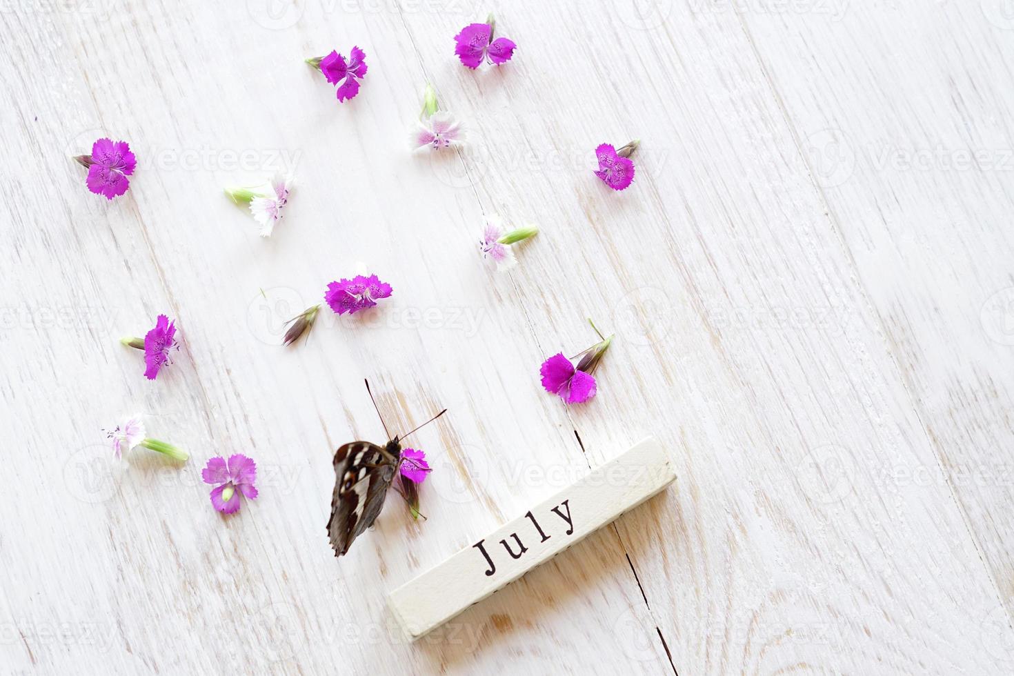 primeiro dia de julho, fundo colorido com calendário, flores e borboleta foto