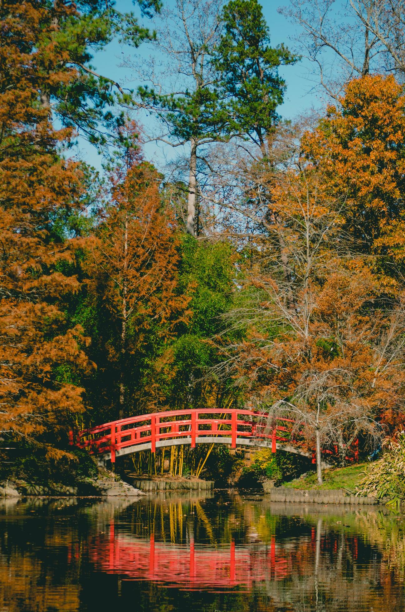 ponte vermelha cercada por árvores foto