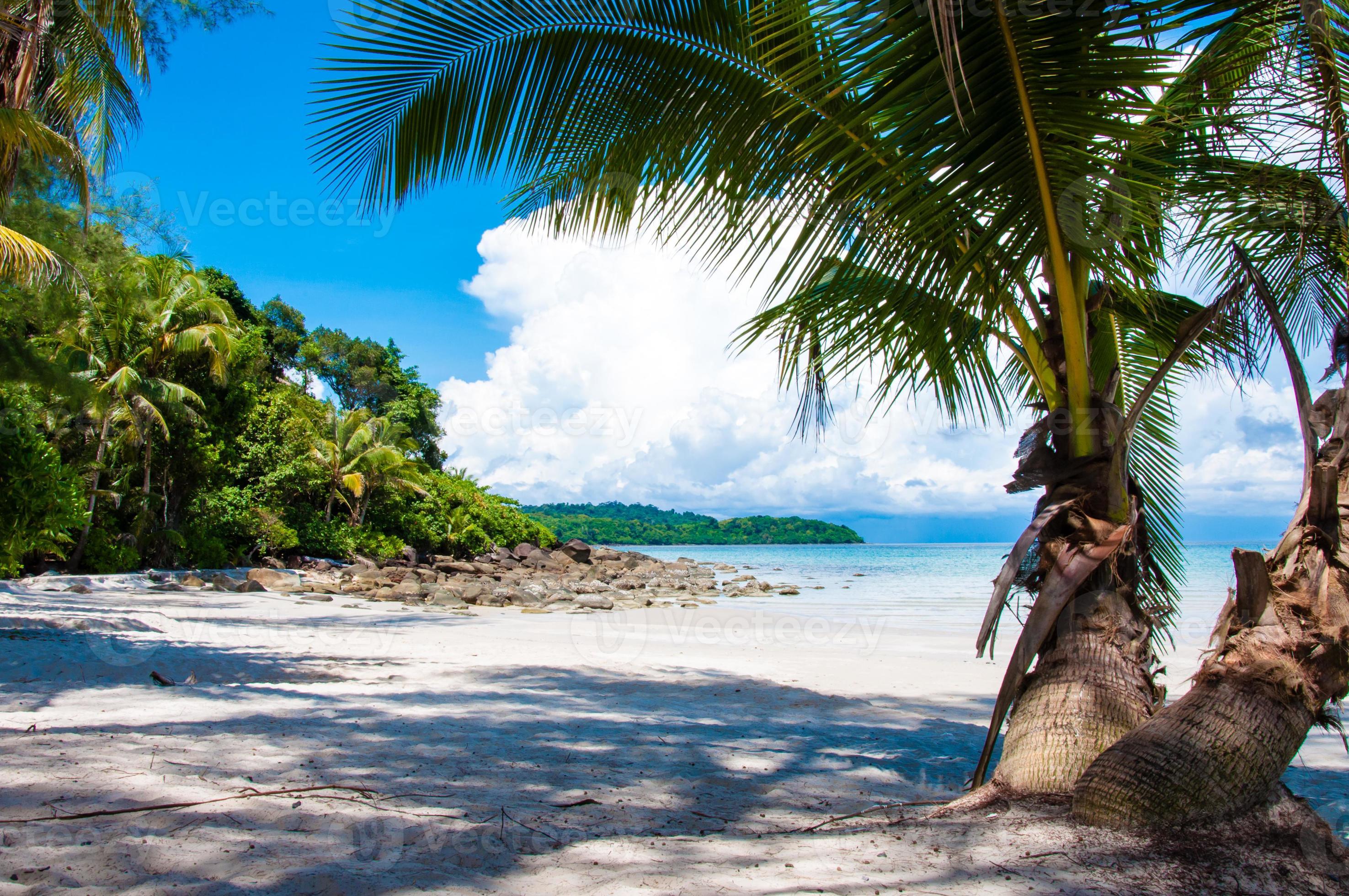 linda praia tropical com areia branca e águas azuis foto