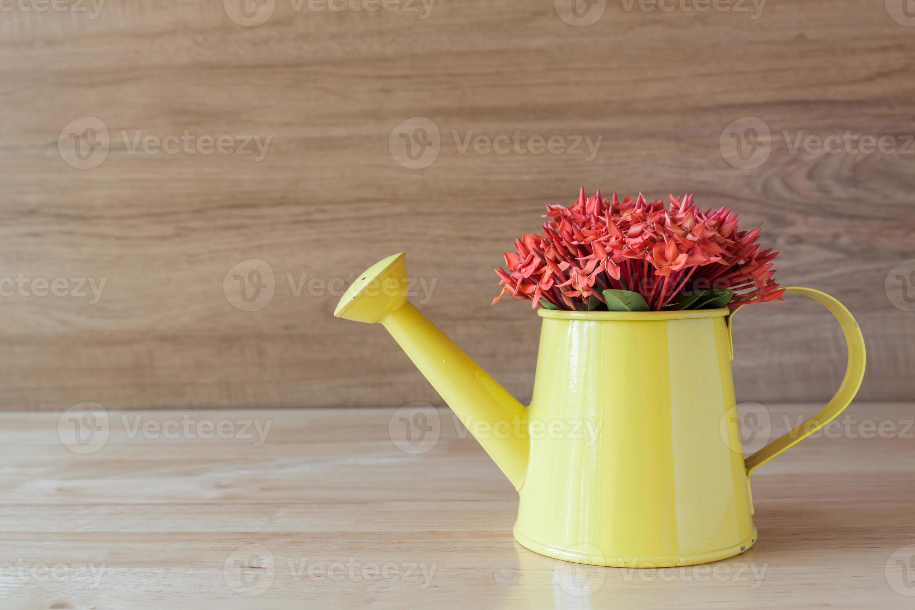 flor ixora vermelha em vaso verde sobre fundo de madeira 1371365 Foto de  stock no Vecteezy