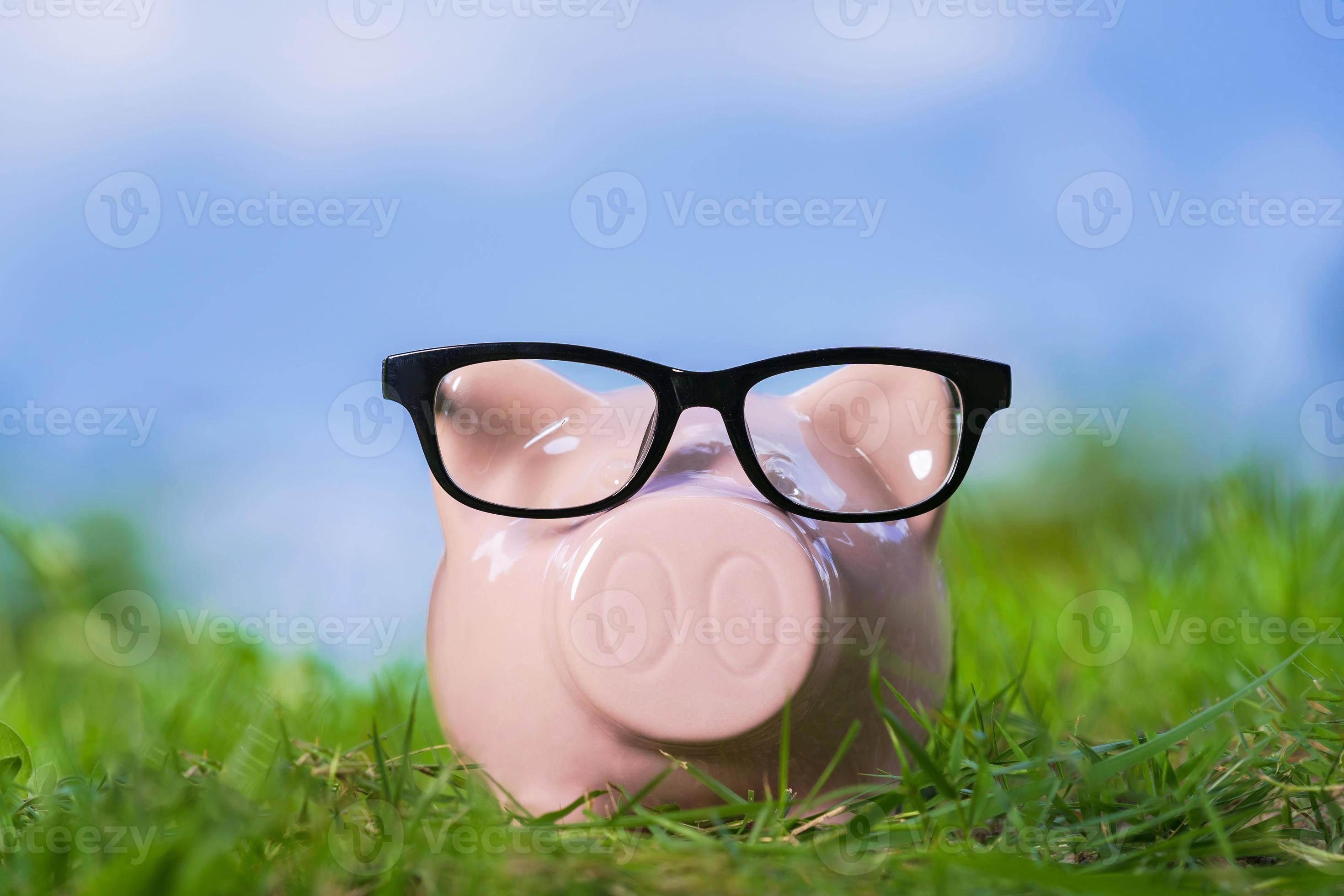 cofrinho rosa com óculos na grama sob o céu azul foto