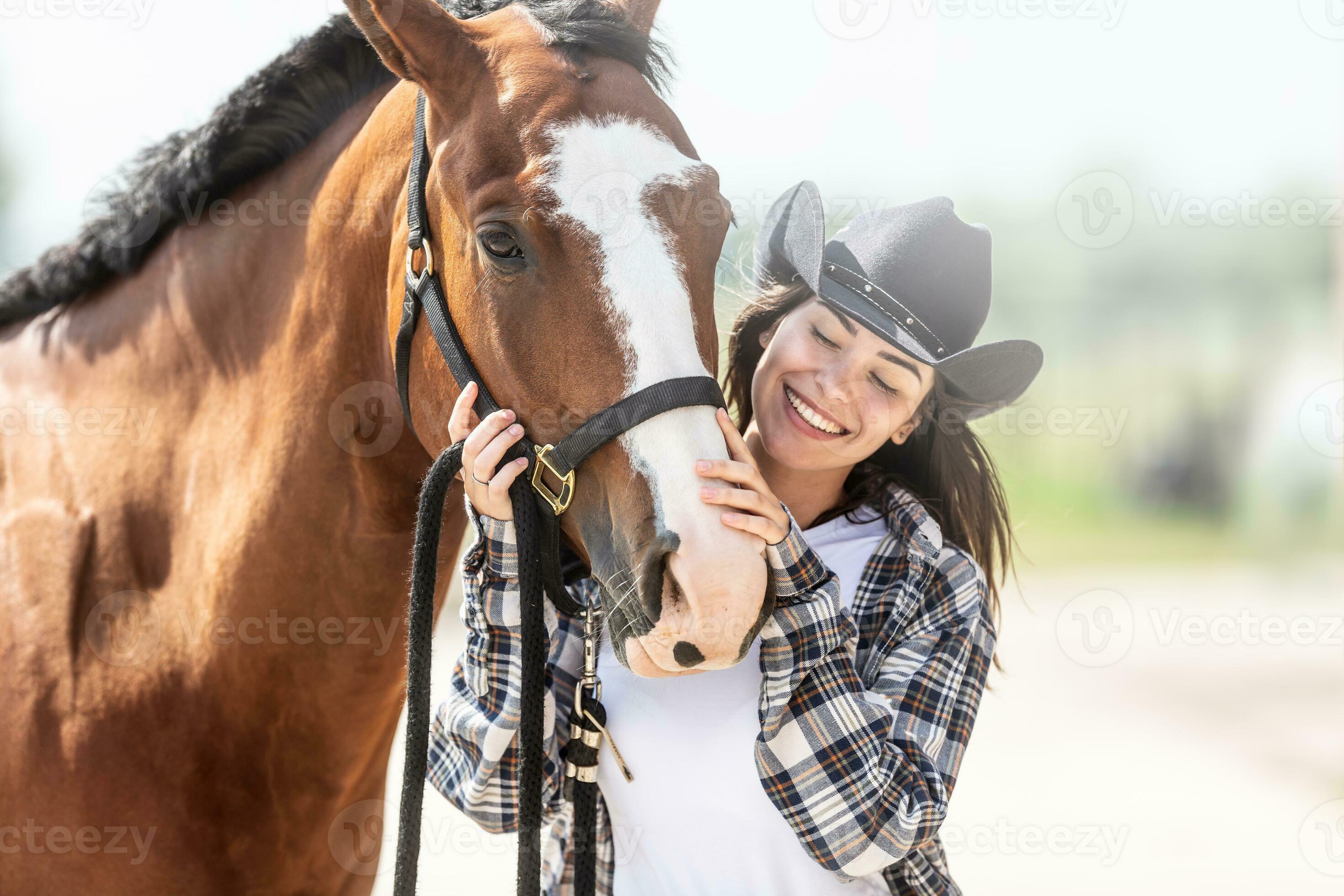 Cavalo Está Sentado Na Frente De Um Fundo Escuro, Fotos De Cavalos A Venda  Imagem de plano de fundo para download gratuito