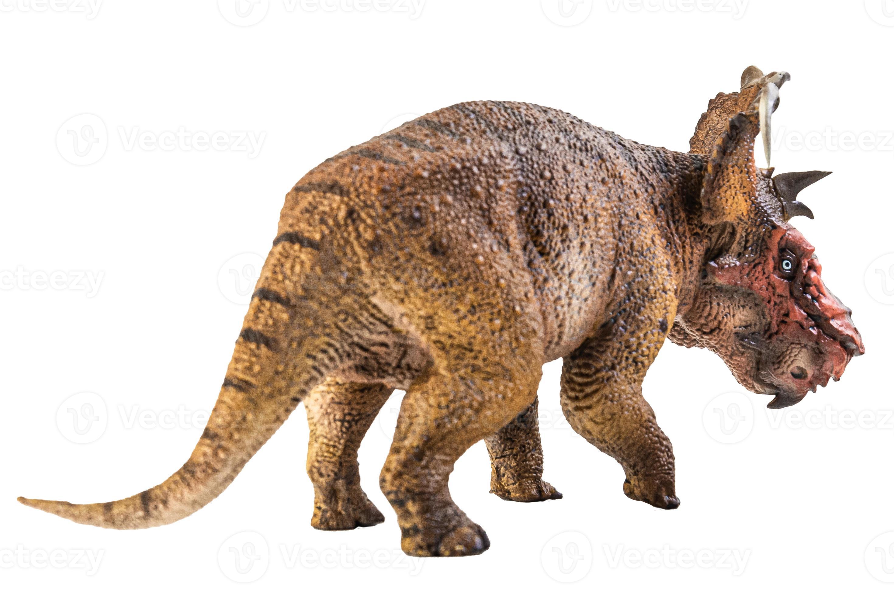 Cor de dinossauro estegossauro desenho herbívoro selvagem antigo isolado no  fundo branco