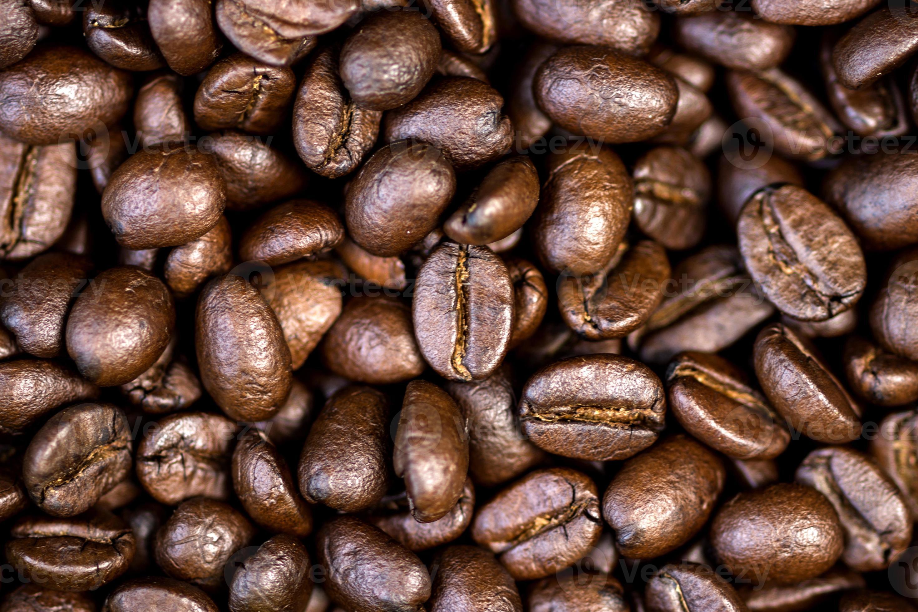 grãos de café torrados. foto