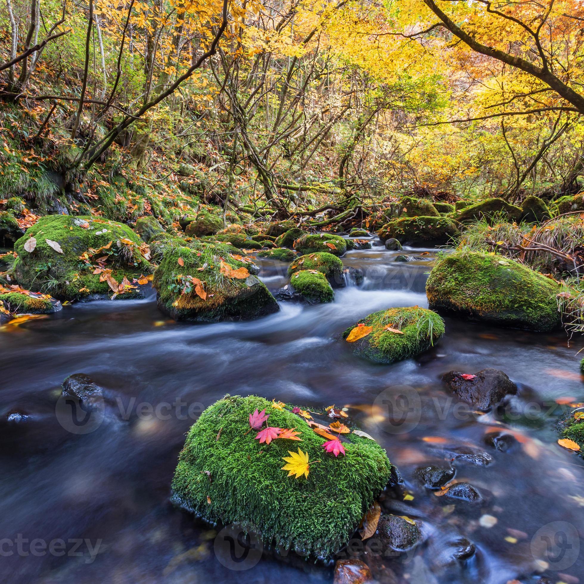 bela cachoeira na floresta, paisagem de outono foto